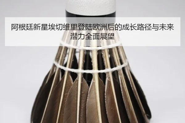 阿根廷新星埃切维里登陆欧洲后的成长路径与未来潜力全面展望
